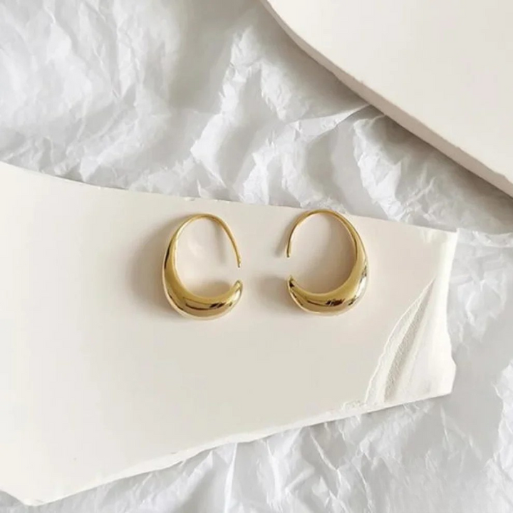 Luxurious Gold and Silver Earrings VIP