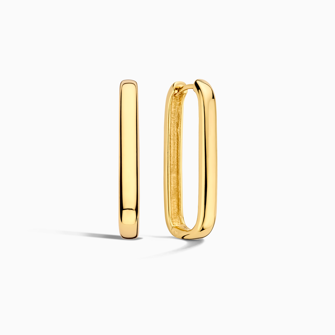 Large Gold Hoop Earrings VIP