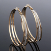Sparkling Vintage Gold-Plated Earrings VIP